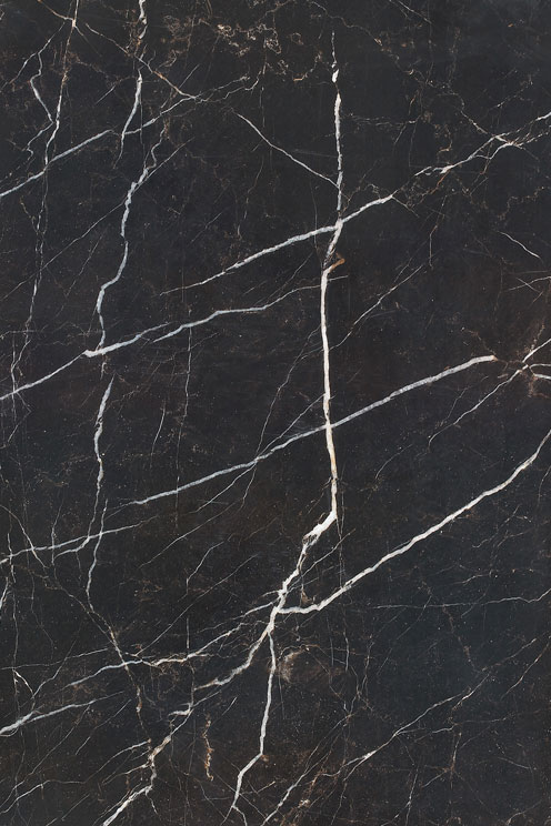 黑白根 Nero Marquina